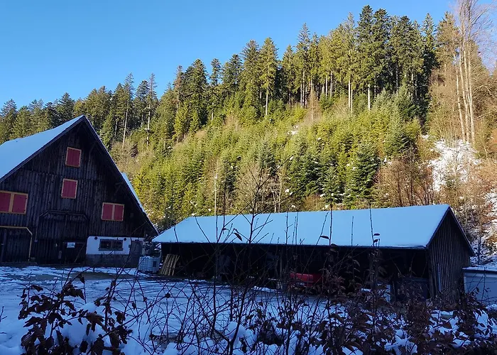 Gut LauterbadSporthotels